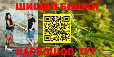 мет Будённовск